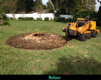 8a-Before Photo