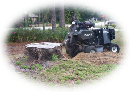 Stump Grinding Machine